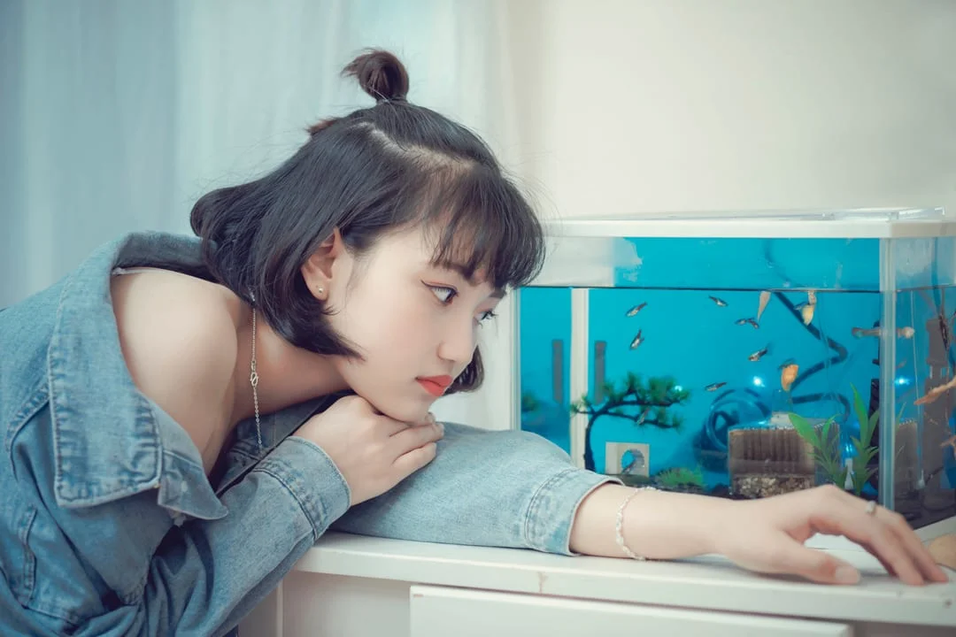 水族馆没拍到满意的？一键把人放进深海玻璃墙前 修图前